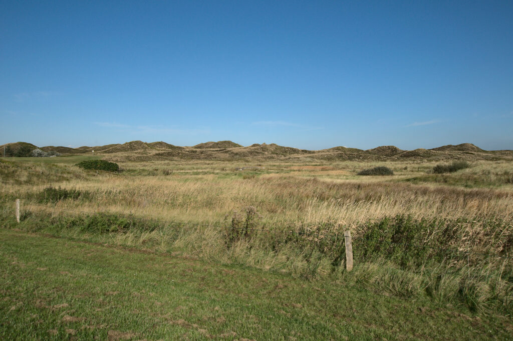 Langeoog Dünen