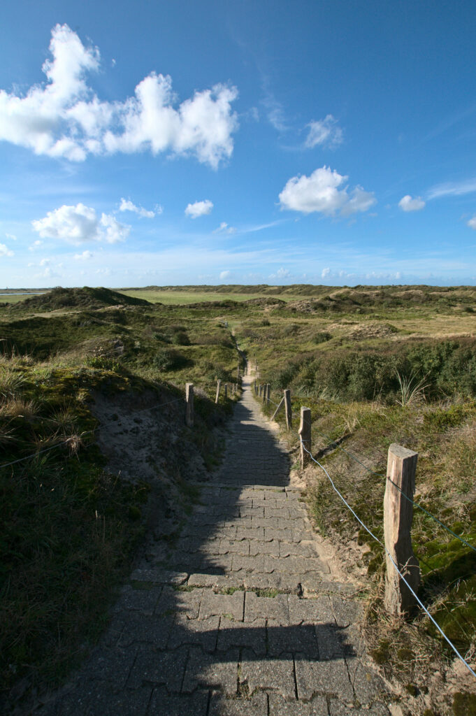 Langeoog Dünen